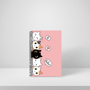 Diary Hi Kitty